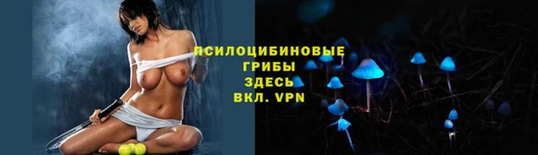 таблы Алексин