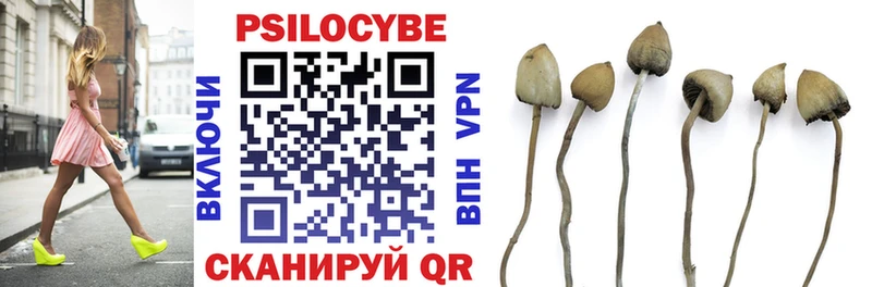 Галлюциногенные грибы Psilocybine cubensis Зеленокумск